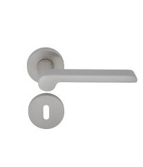 POIG. 2PCS PT 1008 SAT.  IRIS 