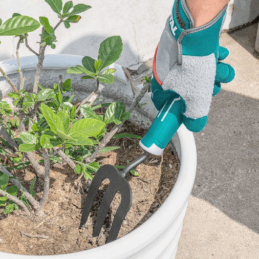 beche outils de jardinage tunisie