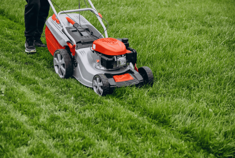 Tondeuse électrique en Tunisie pour petit jardin de villa