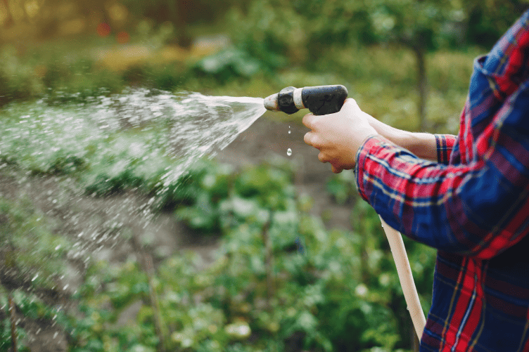 Choisir un tuyau d’arrosage adapté à la longueur du jardin et au raccord robinet