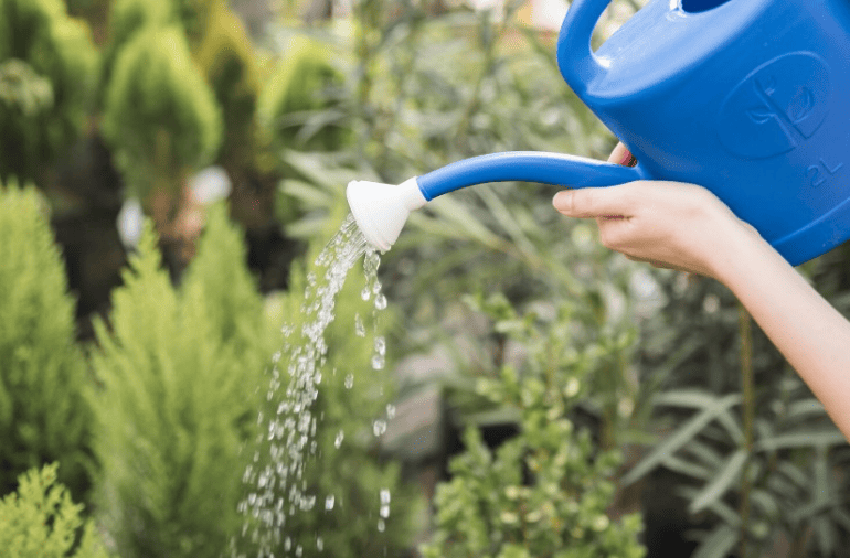 Minuterie, enrouleur et arroseur pour arroser facilement un jardin en Tunisie