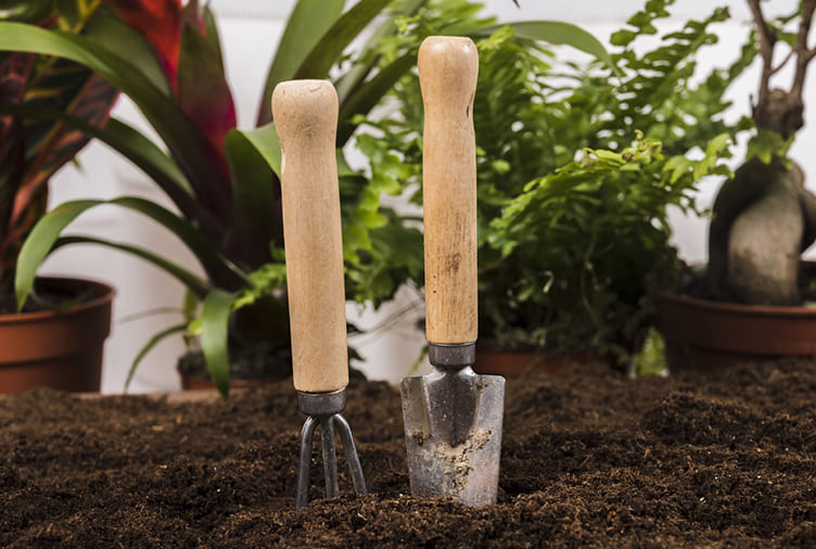 outils de jardinage pour sol en Tunisie